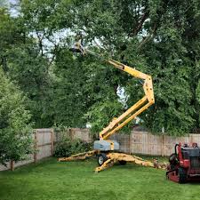 Best Sod Installation  in Montebello, CA