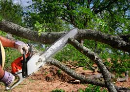 Best Utility Line Clearance  in Montebello, CA
